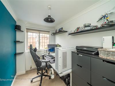 Picture 21